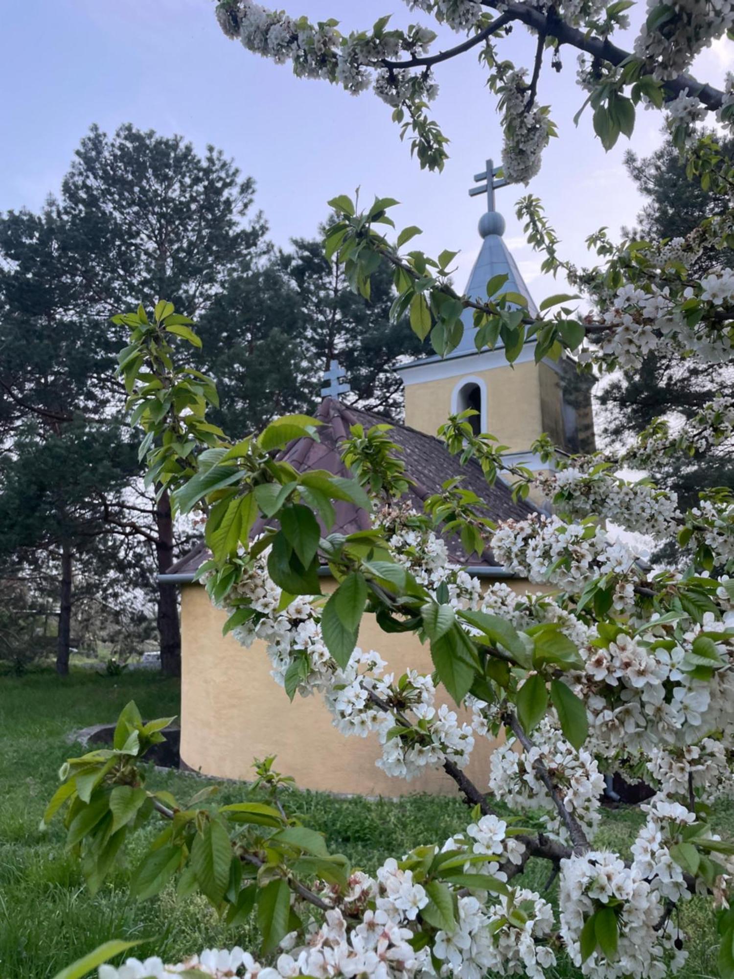 Будинок відпочинку Koefal Pince